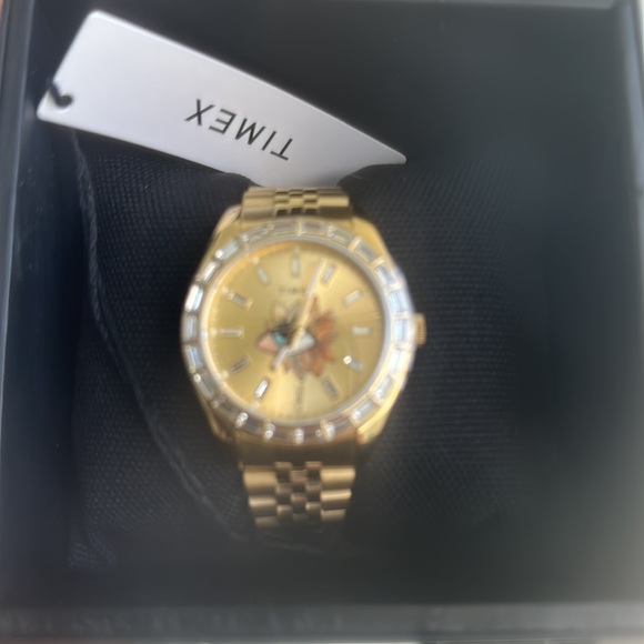 Jacquie Aiche X Timex Gold Watch